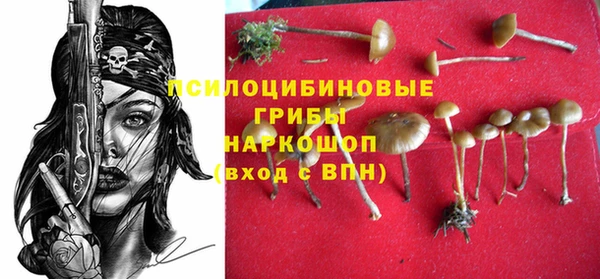 мяу мяу мука Алексин