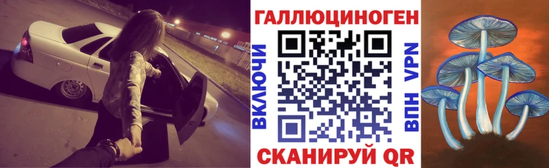 Псилоцибиновые грибы Psilocybe  Рославль 